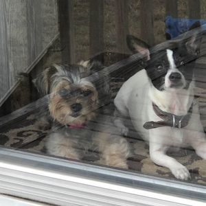 Meet your Posher, Trisha